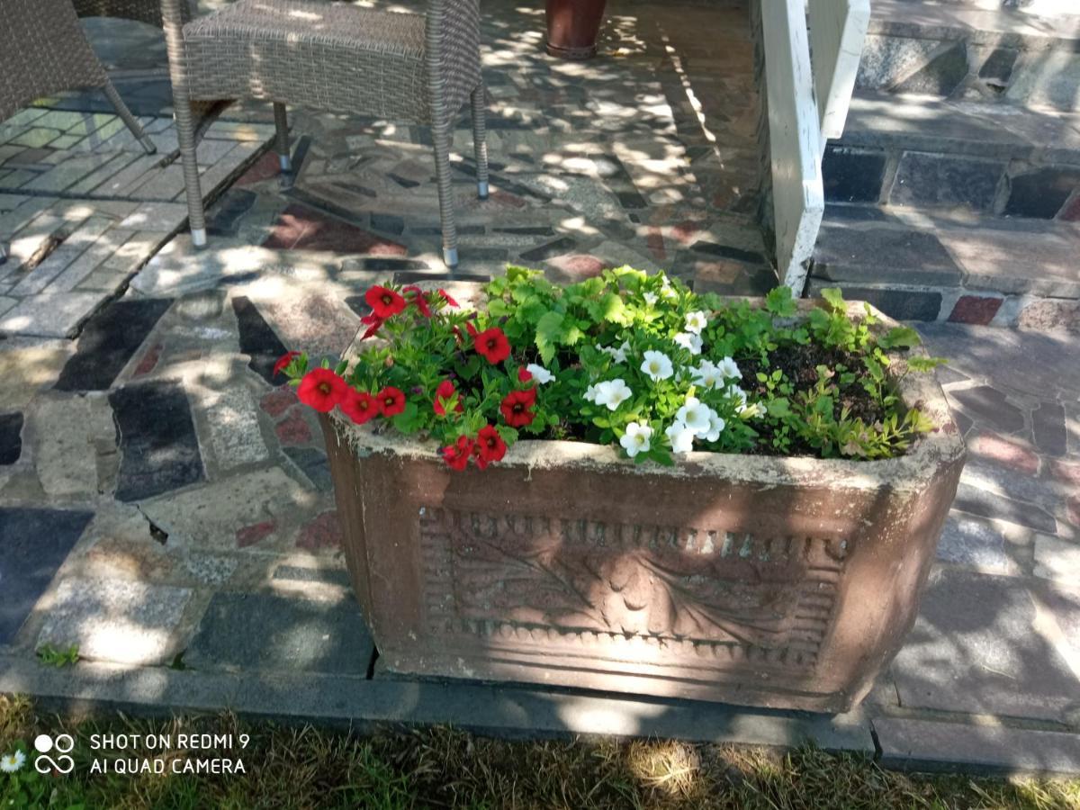 Rooms Lutra Bilje Екстер'єр фото